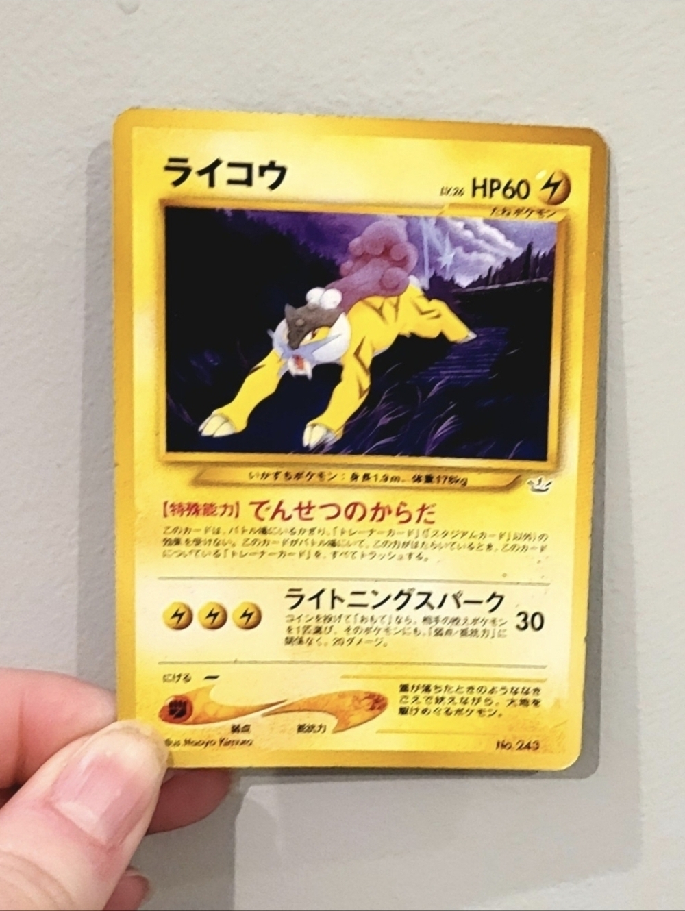 Raikou Pokemon Card